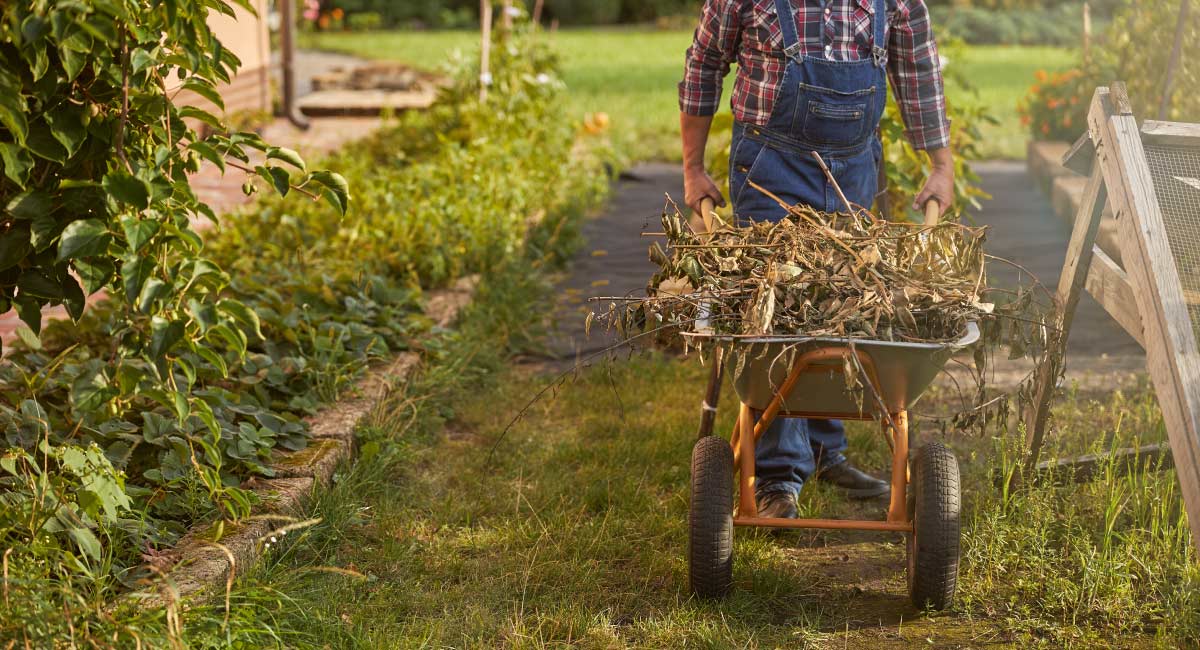 οργανικά υλικά για κομποστοποίηση