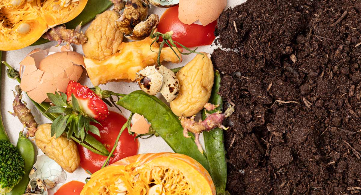 τι είναι η κομποστοποίηση και ποια τα οφέλη της