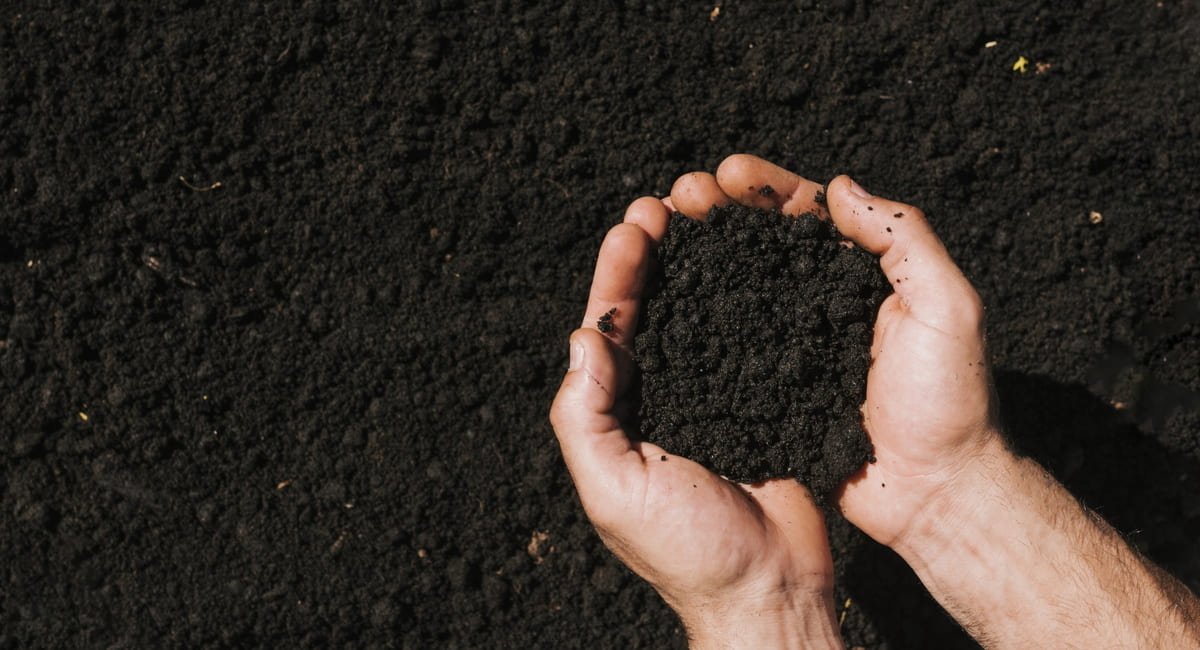 Κομποστοποίηση: Τι Είναι και Ποια τα Οφέλη της;